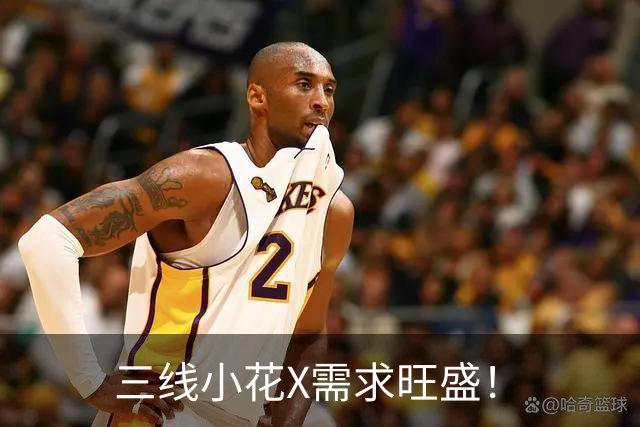 三线小花X需求旺盛！