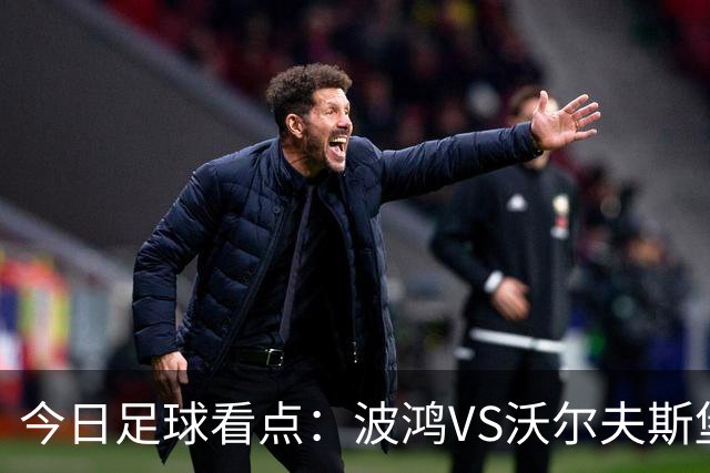 今日足球看点：波鸿VS沃尔夫斯堡，布雷斯特VS尼斯，博尔顿VS米堡