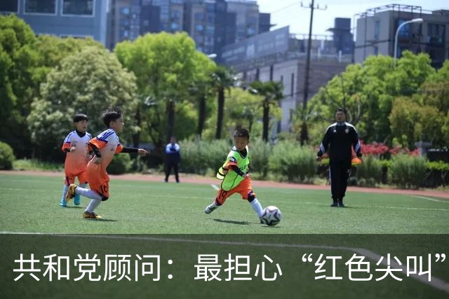 共和党顾问：最担心“红色尖叫”而非蓝色浪潮