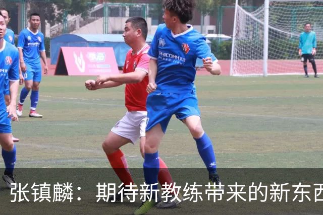 张镇麟：期待新教练带来的新东西 尽量去学习