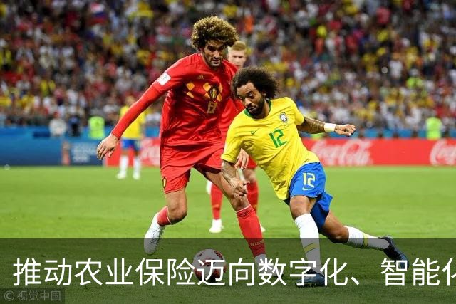 推动农业保险迈向数字化、智能化、标准化（政策解读）