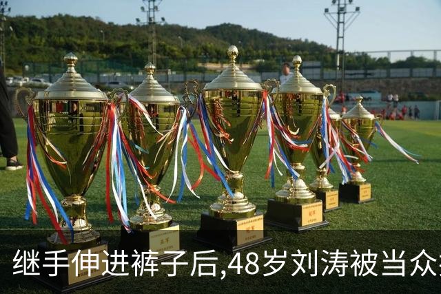 继手伸进裤子后,48岁刘涛被当众摸胸,全程赔笑不敢翻脸,多人遭殃