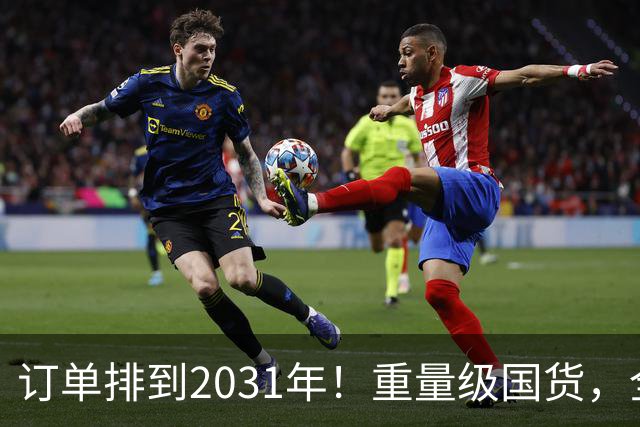 订单排到2031年！重量级国货，全球爆单
