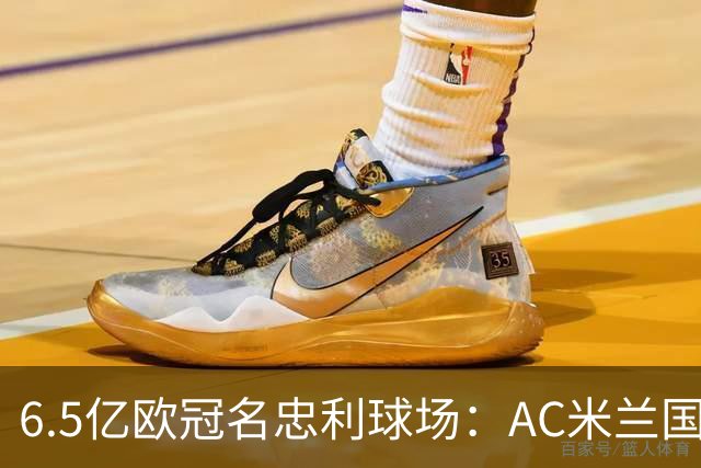 6.5亿欧冠名忠利球场：AC米兰国米告别圣西罗时代