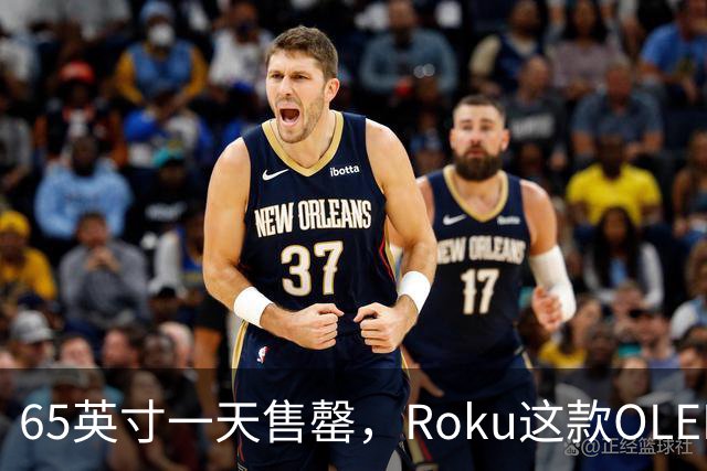 65英寸一天售罄，Roku这款OLED电视只剩55英寸